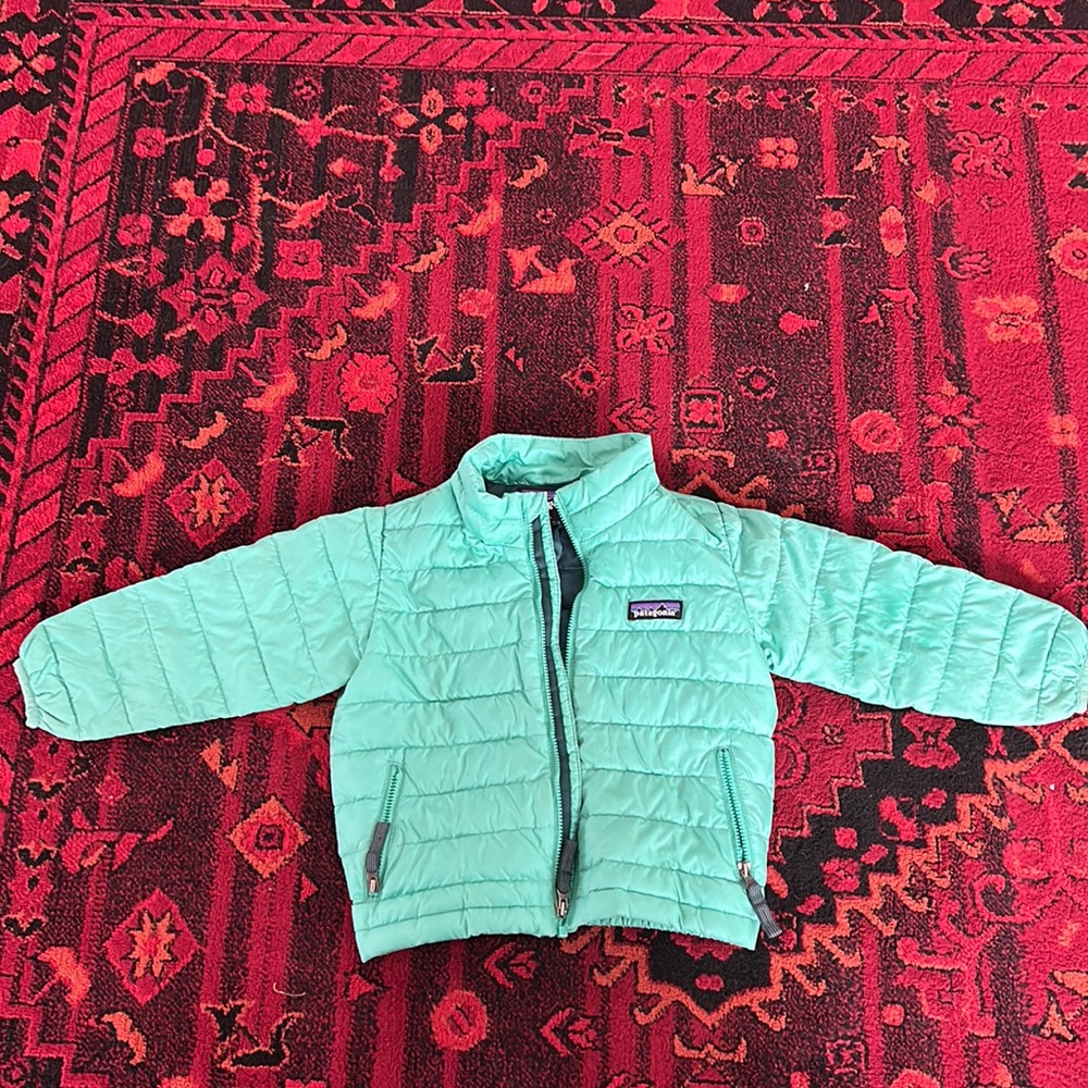 2T Patagonia baby down sweater
